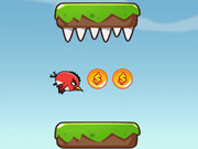 Pasăre ușor înfuriată